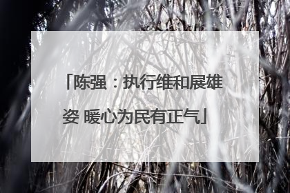 陈强：执行维和展雄姿 暖心为民有正气