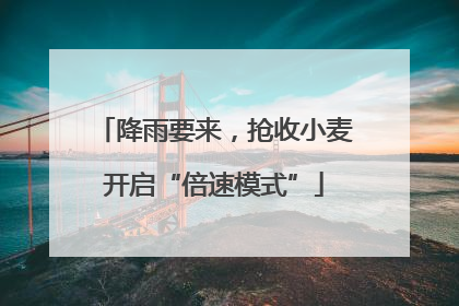 降雨要来，抢收小麦开启“倍速模式”