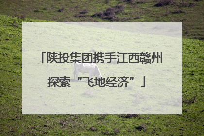 陕投集团携手江西赣州 探索“飞地经济”