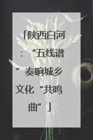 陕西白河：“五线谱”奏响城乡文化“共鸣曲”