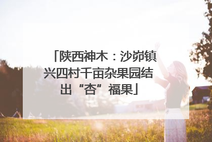 陕西神木：沙峁镇兴四村千亩杂果园结出“杏”福果