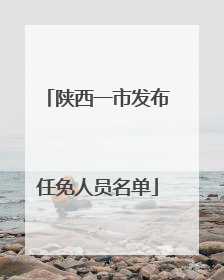 陕西一市发布任免人员名单