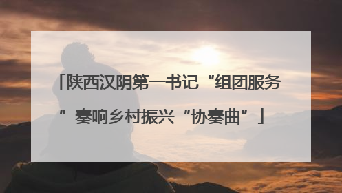 陕西汉阴第一书记“组团服务”奏响乡村振兴“协奏曲”