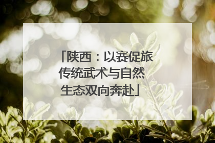 陕西：以赛促旅 传统武术与自然生态双向奔赴