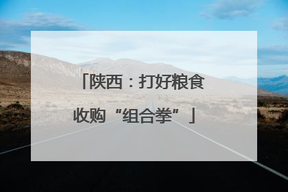 陕西：打好粮食收购“组合拳”