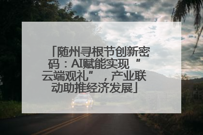 随州寻根节创新密码：AI赋能实现“云端观礼”，产业联动助推经济发展