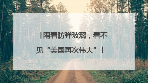 隔着防弹玻璃，看不见“美国再次伟大”