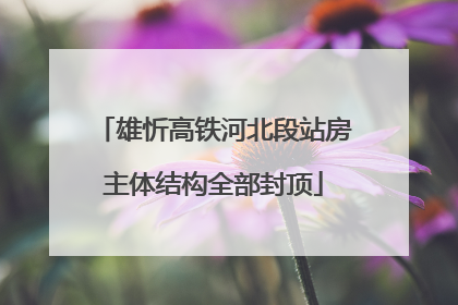 雄忻高铁河北段站房主体结构全部封顶