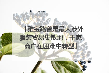雅宝路曾是最大涉外服装贸易集散地，千家商户在困难中转型