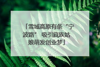 雪域高原有条“宁波路” 吸引藏族姑娘萌发创业梦