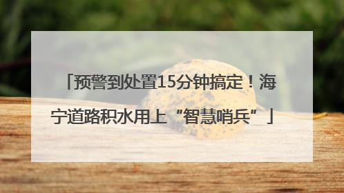 预警到处置15分钟搞定！海宁道路积水用上“智慧哨兵”