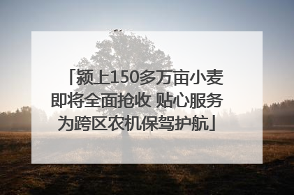 颍上150多万亩小麦即将全面抢收 贴心服务为跨区农机保驾护航