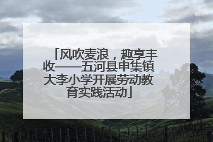 风吹麦浪，趣享丰收——五河县申集镇大李小学开展劳动教育实践活动