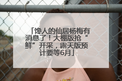 馋人的仙居杨梅有消息了！大棚版抢“鲜”开采，露天版预计要等6月