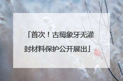 首次！古蜀象牙无灌封材料保护公开展出