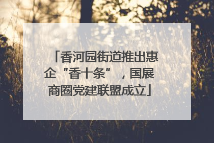 香河园街道推出惠企“香十条”，国展商圈党建联盟成立