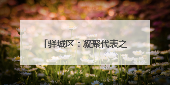 驿城区：凝聚代表之力 办好惠民实事