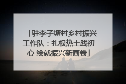 驻李子塘村乡村振兴工作队：扎根热土践初心 绘就振兴新画卷