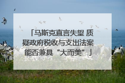 马斯克直言失望 质疑政府税收与支出法案能否兼具“大而美”