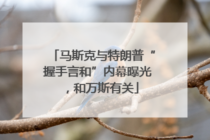 马斯克与特朗普“握手言和”内幕曝光，和万斯有关