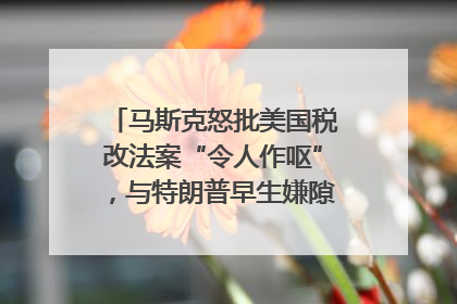 马斯克怒批美国税改法案“令人作呕”，与特朗普早生嫌隙？｜国际识局