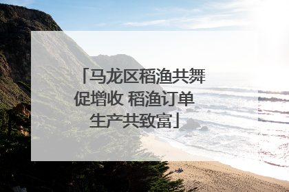 马龙区稻渔共舞促增收 稻渔订单生产共致富