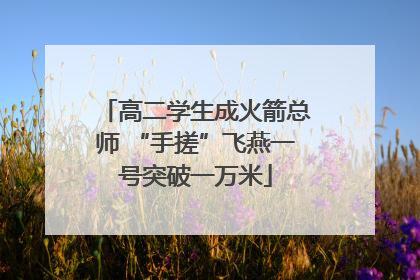高二学生成火箭总师 “手搓”飞燕一号突破一万米