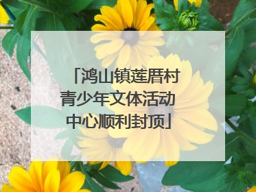 鸿山镇莲厝村青少年文体活动中心顺利封顶