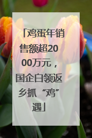 鸡蛋年销售额超2000万元，国企白领返乡抓“鸡”遇