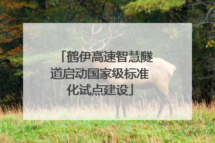 鹤伊高速智慧隧道启动国家级标准化试点建设
