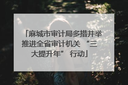 麻城市审计局多措并举推进全省审计机关 “三大提升年” 行动