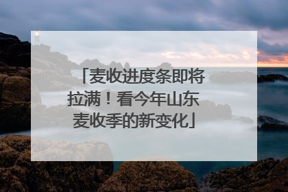 麦收进度条即将拉满！看今年山东麦收季的新变化