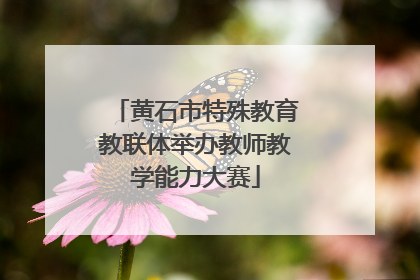 黄石市特殊教育教联体举办教师教学能力大赛