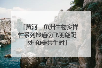 黄河三角洲生物多样性系列报道②飞羽翩跹处 和美共生时