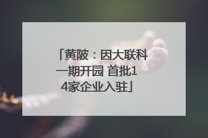 黄陂：因大联科一期开园 首批14家企业入驻