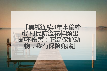 黑熊连续3年来偷蜂蜜 村民防盗花样频出却不伤害：它是保护动物，我有保险兜底