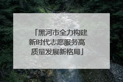 黑河市全力构建新时代志愿服务高质量发展新格局