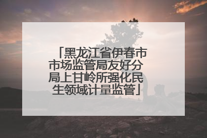 黑龙江省伊春市市场监管局友好分局上甘岭所强化民生领域计量监管