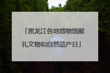 黑龙江各地博物馆献礼文物和自然遗产日