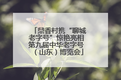 鼎香村携“聊城老字号”惊艳亮相第九届中华老字号（山东）博览会