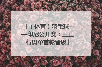 （体育）羽毛球——印尼公开赛：王正行男单首轮晋级