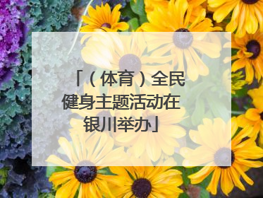 （体育）全民健身主题活动在银川举办