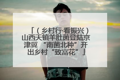 （乡村行·看振兴）山西天镇羊肚菌登陆京津冀 “南菌北种”开出乡村“致富花”