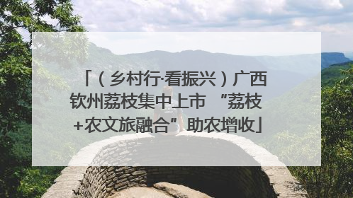 （乡村行·看振兴）广西钦州荔枝集中上市 “荔枝+农文旅融合”助农增收