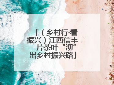 （乡村行·看振兴）江西信丰一片茶叶“沏”出乡村振兴路