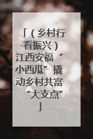 （乡村行·看振兴）江西安福“小西瓜”撬动乡村共富“大支点”