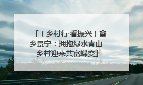 （乡村行·看振兴）畲乡景宁：拥抱绿水青山 乡村迎来共富蝶变