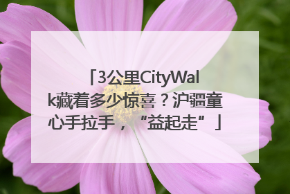 3公里CityWalk藏着多少惊喜？沪疆童心手拉手，“益起走”