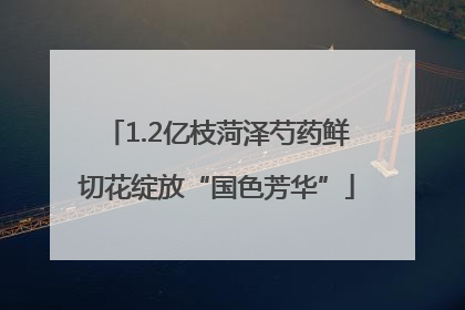 1.2亿枝菏泽芍药鲜切花绽放“国色芳华”