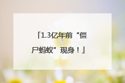 1.3亿年前“僵尸蚂蚁”现身！